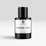 Modern Icon